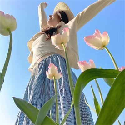 艳阳春水惊鸿